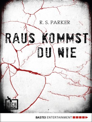 cover image of Raus kommst du nie